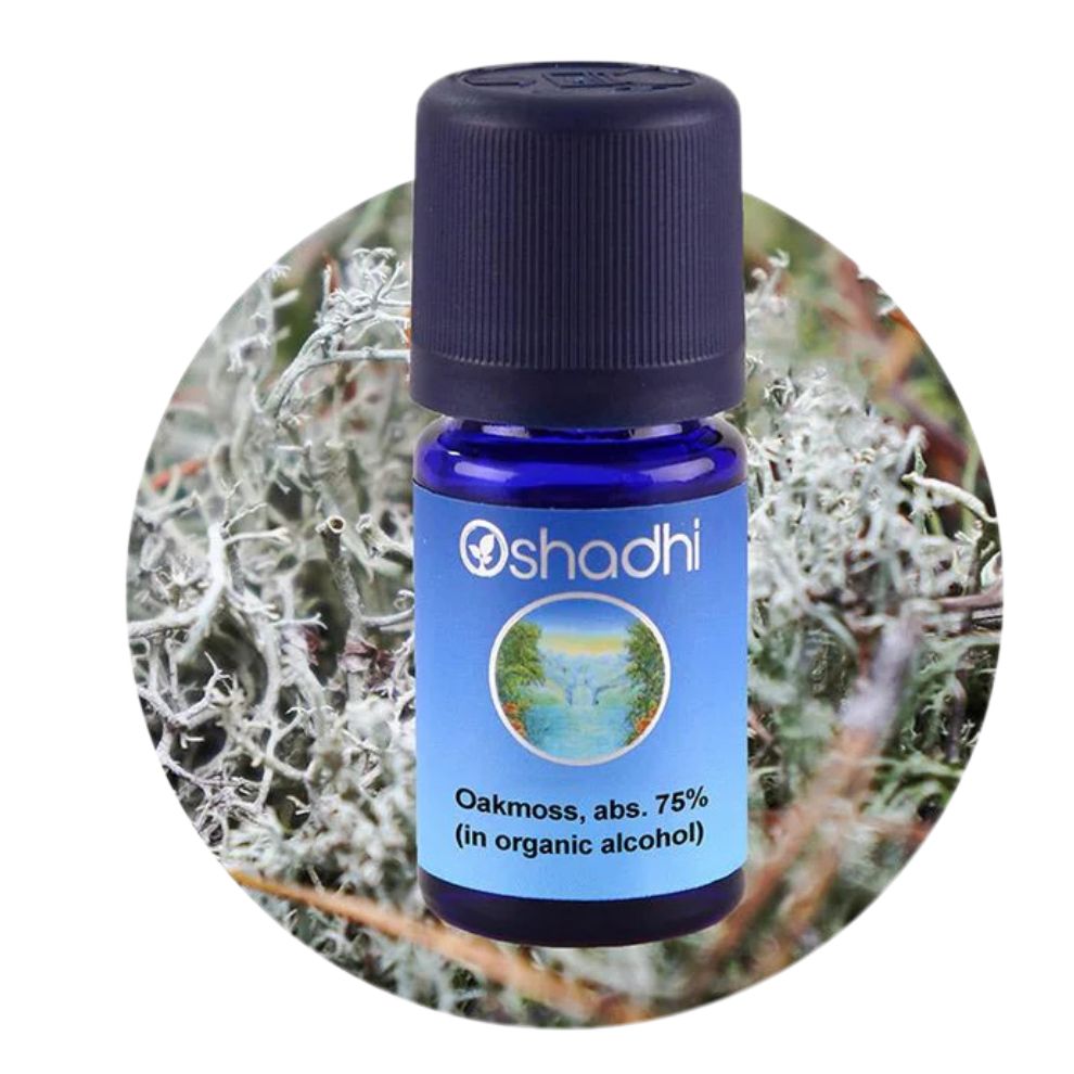 OAKMOSS ABSOLUTE 75 | Ąžuolo samanų absoliutas