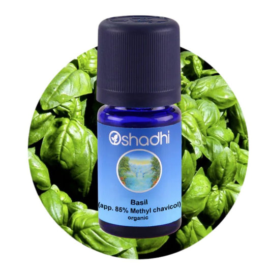 BASIL | Bazilikų eterinis aliejus