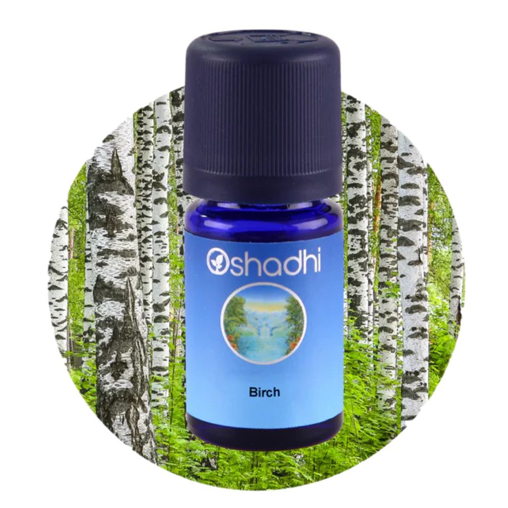 BIRCH | Beržų eterinis aliejus "Betula lenta"