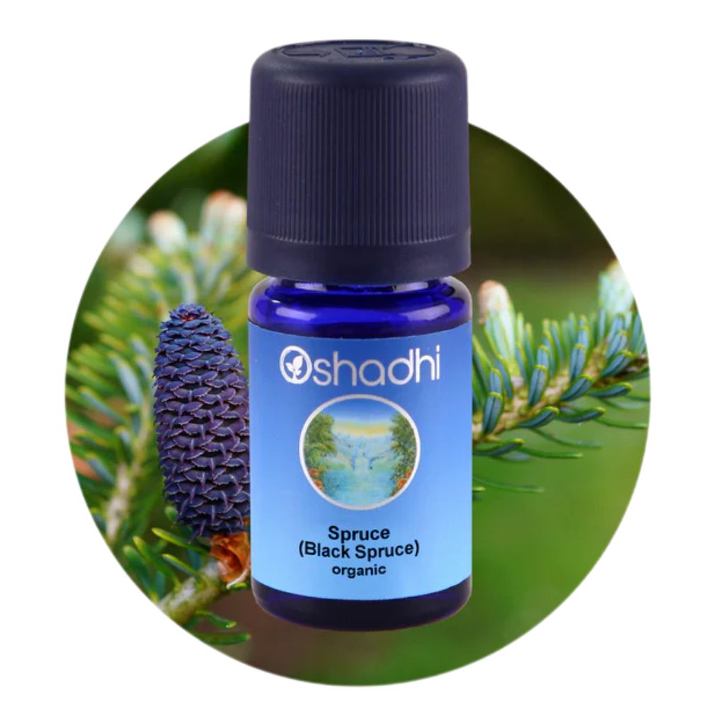 BLACK SPRUCE | Juodosios eglės eterinis aliejus "Picea mariana"