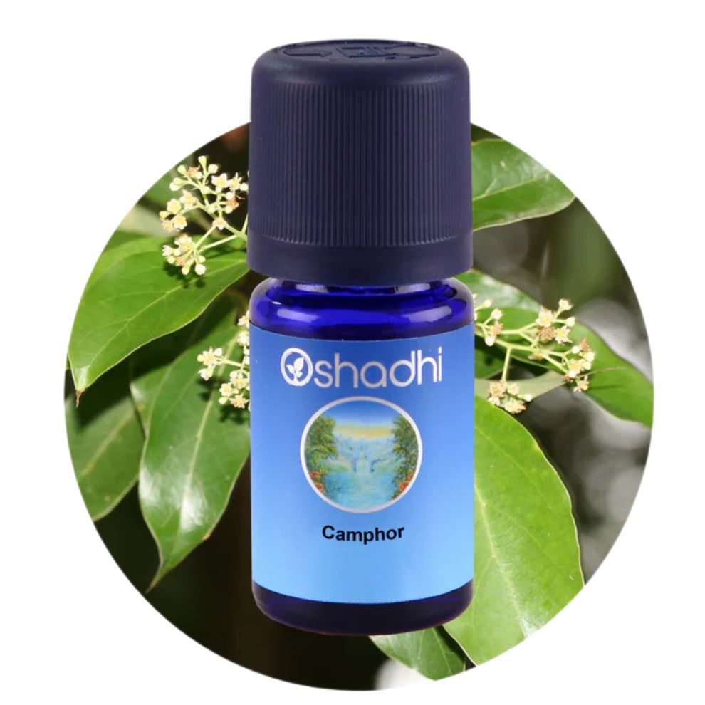 CAMPHOR | Kamparo eterinis aliejus "Cinnamomum camphora"