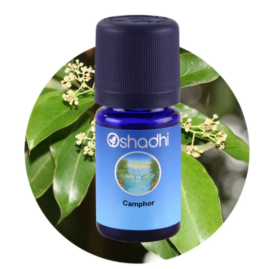 CAMPHOR | Kamparo eterinis aliejus