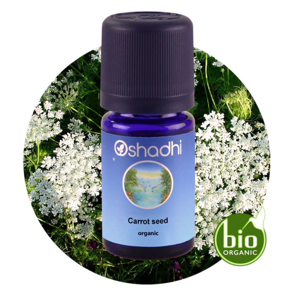 CARROT SEED ORGANIC | Organiškas morkų sėklų eterinis aliejus