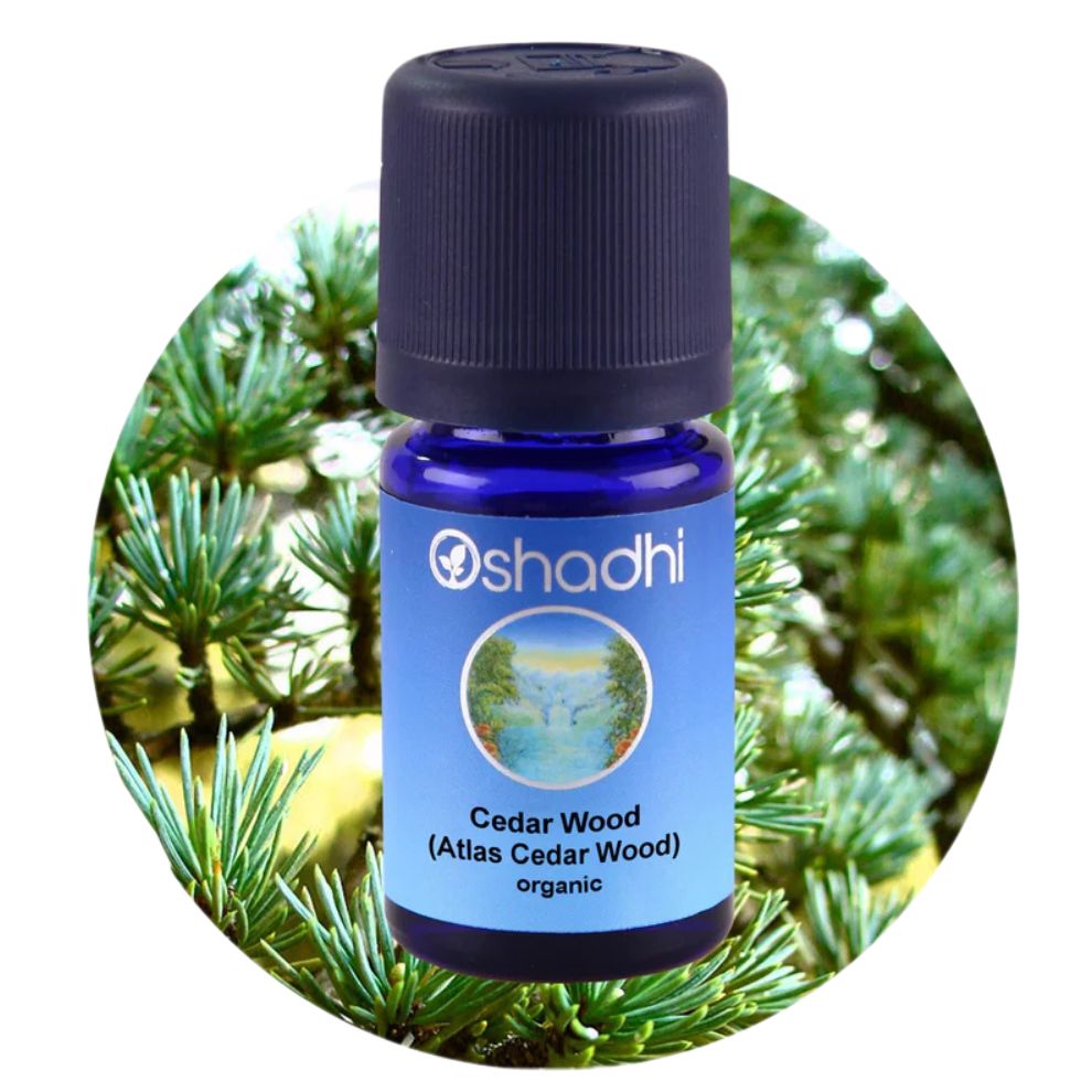 CEDAR (ATLAS) | Kedro eterinis aliejus "Cedrus atlantica"