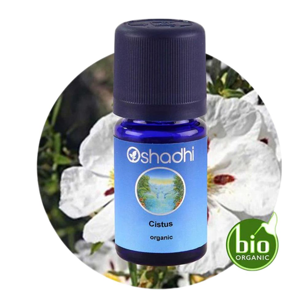 CISTUS (organic) | Cistus eterinis aliejus