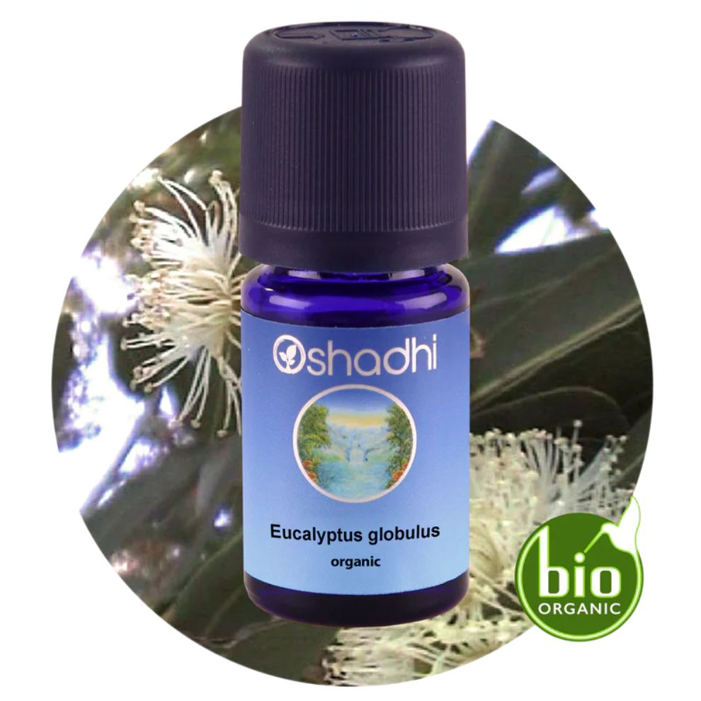 EUCALYPTUS | Eukaliptų eterinis aliejus "Eucalyptus globulus"