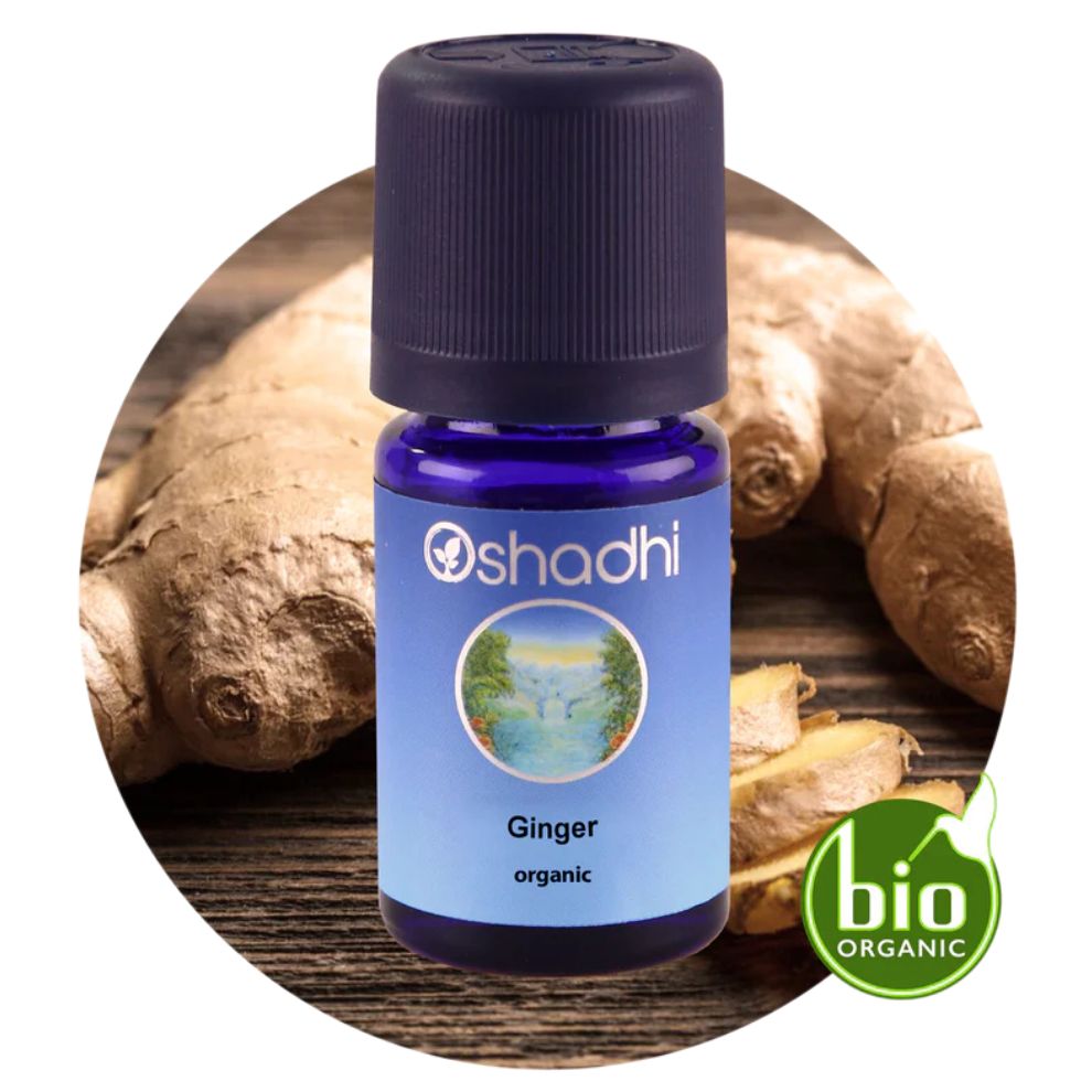 GINGER | Imbiero eterinis aliejus "Zingiber officinalis"