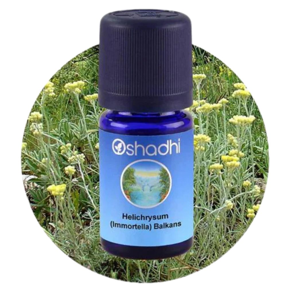 HELICHRYSUM (IMMORTELLA) | šlamučių eterinis aliejus "Helichrysum italicum"