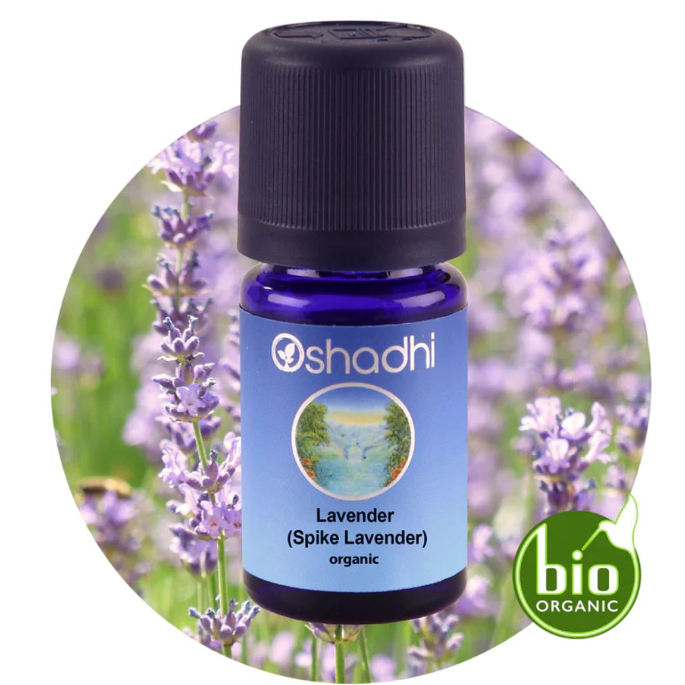 LAVENDER | Levandų eterinis aliejus "Lavandula latifolia"