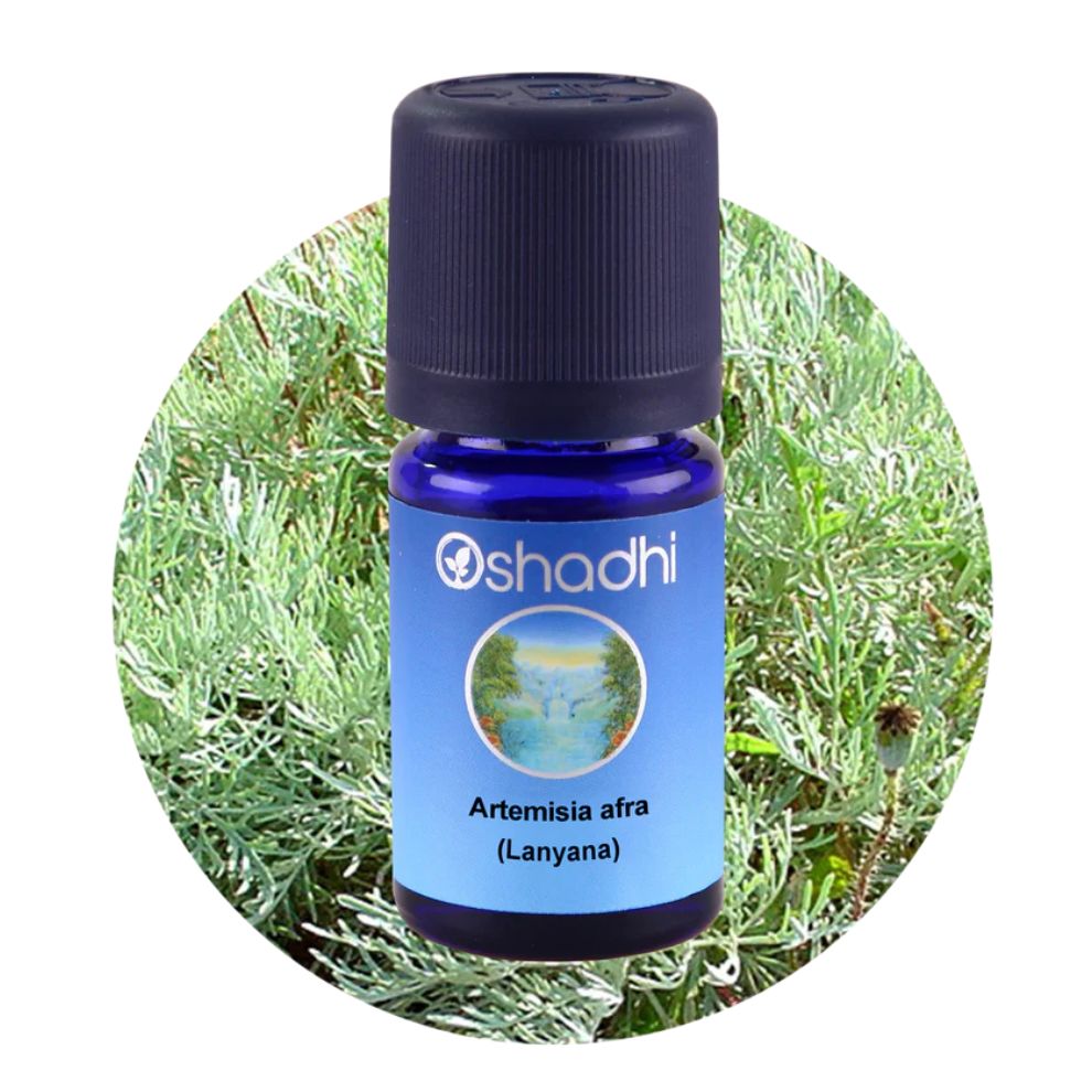 WORMWOOD | Pelyno eterinis aliejus