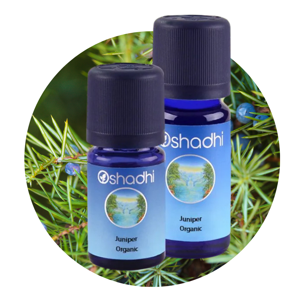 JUNIPER ORGANIC | Ekologiškas kadagio eterinis aliejus