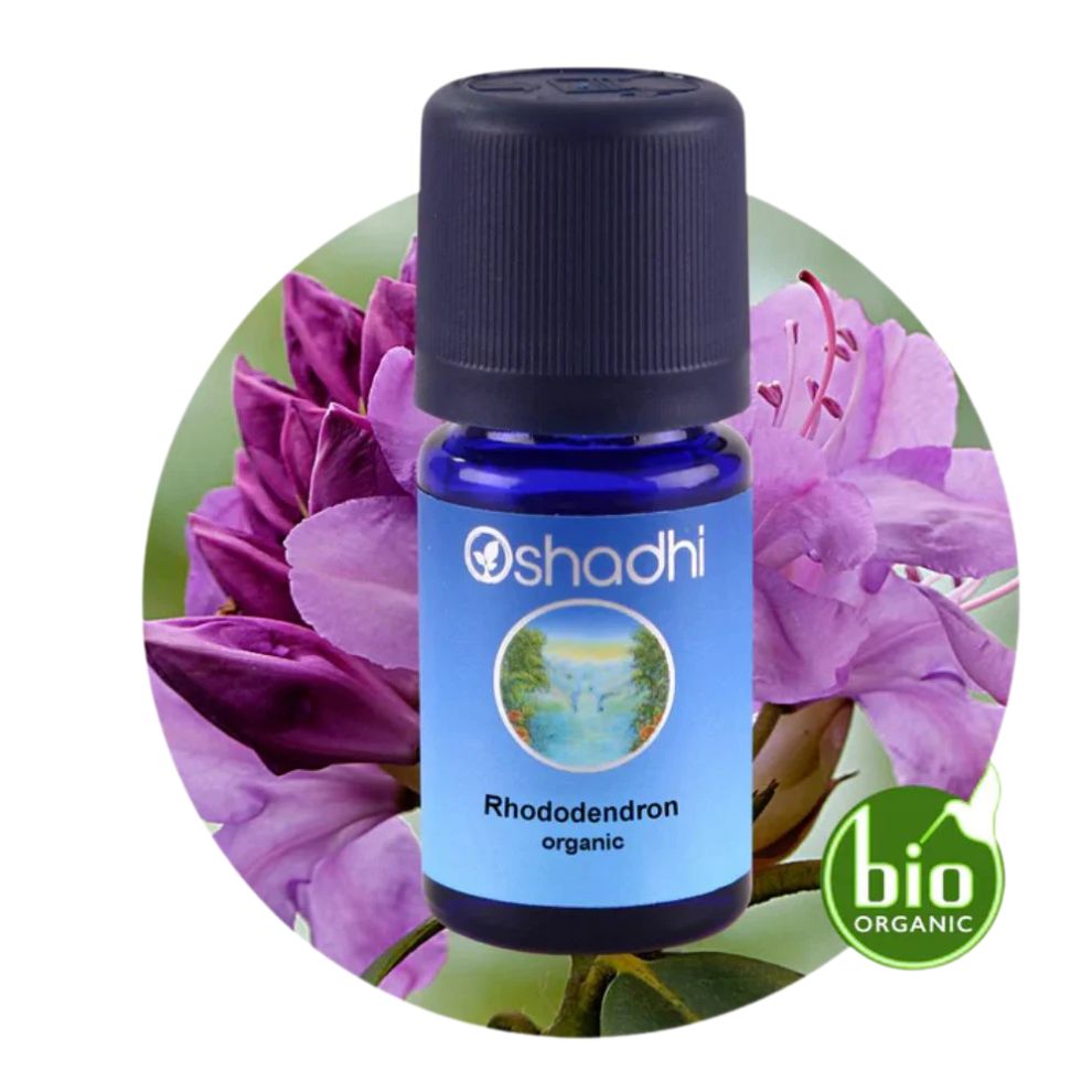 RHODODENDRON ORGANIC | Rododendrų eterinis aliejus