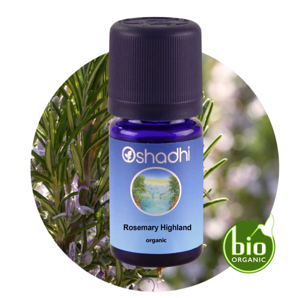 ROSEMARY HIGHLAND | Rozmarinų eterinis aliejus "Rosmarinus officinalis"