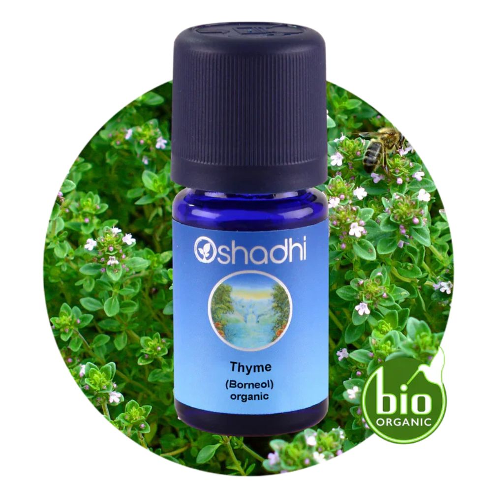 Čiobrelis Thyme (Borneol) organic