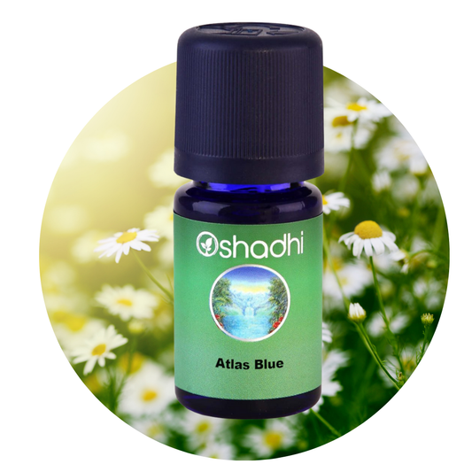 ATLAS BLUE | Eterinis aliejų mišinys