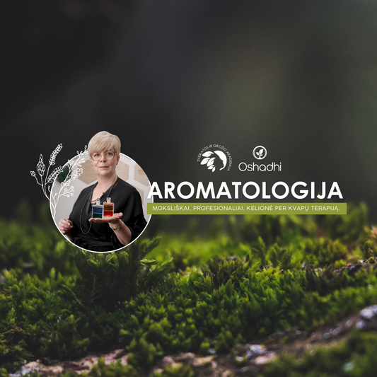 10 susitikimų kelionė į aromatų pasaulį.