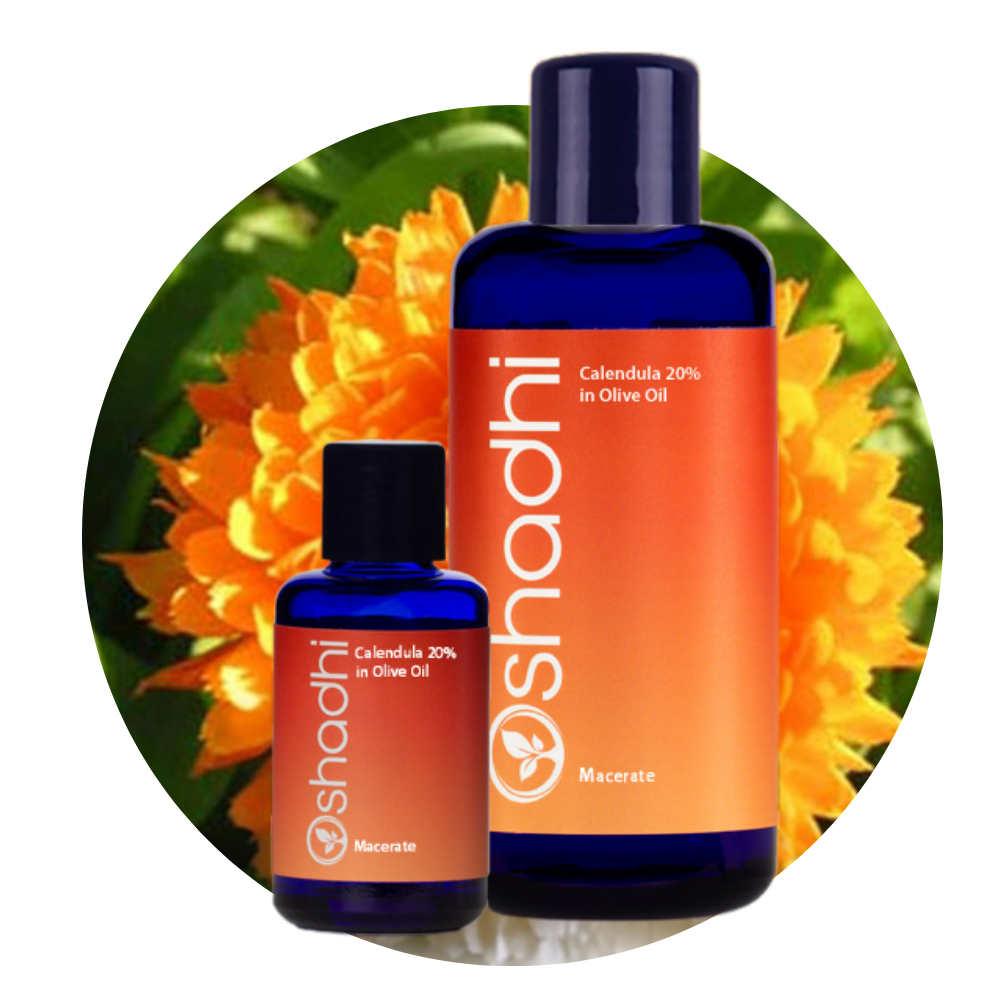 CALENDULA 20% MACERATE | Medetkų maceratas