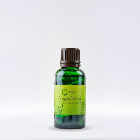 EUCALYPTUS VIMINALIS | Vytelinis eukaliptas