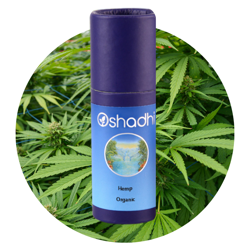 Hemp oils oshadhi