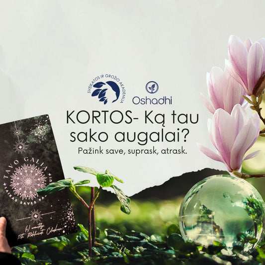 Ką tau sako augalai? Pažink save, suprask, atrask.