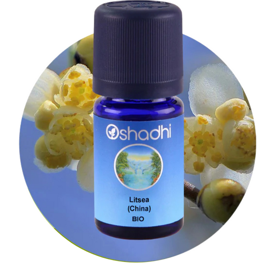 LITSEA CHINA ORGANIC | Laurenių eterinis aliejus