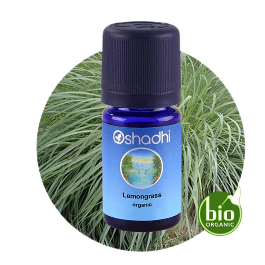 Lemongrass Organic-Lemongrasas " Cymbopogon flexuosus"