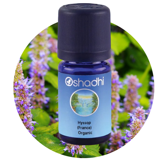 HYSSOP ORGANIC | Ekologiškas izopo eterinis aliejus