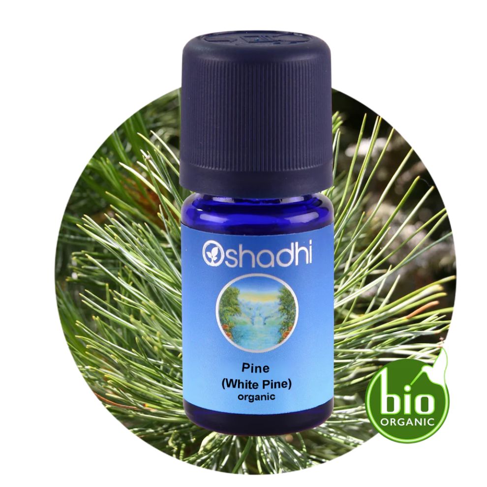 PINE (WHITE PINE) | Baltosios pušies eterinis aliejus