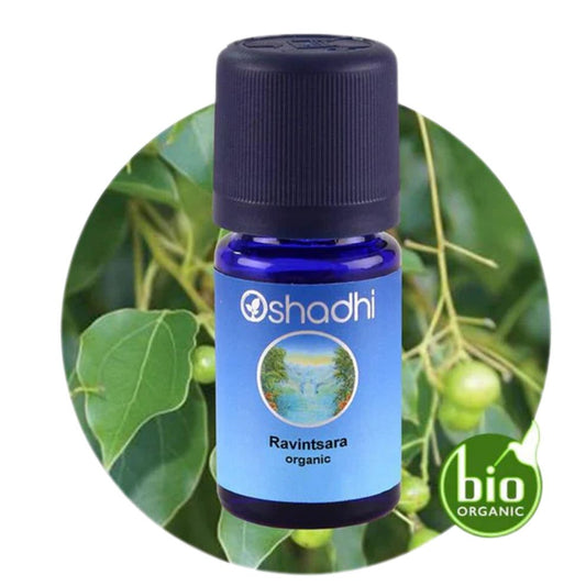 RAVINTSARA ORGANIC | Ravintsaros eterinis aliejus