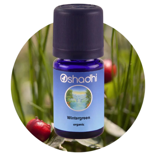 WINTERGREEN | Bruknuolių eterinis aliejus